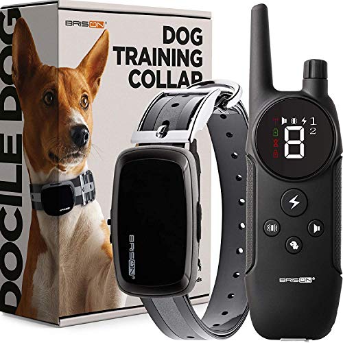 Read more about the article Best E collars For Small Dogs top 10